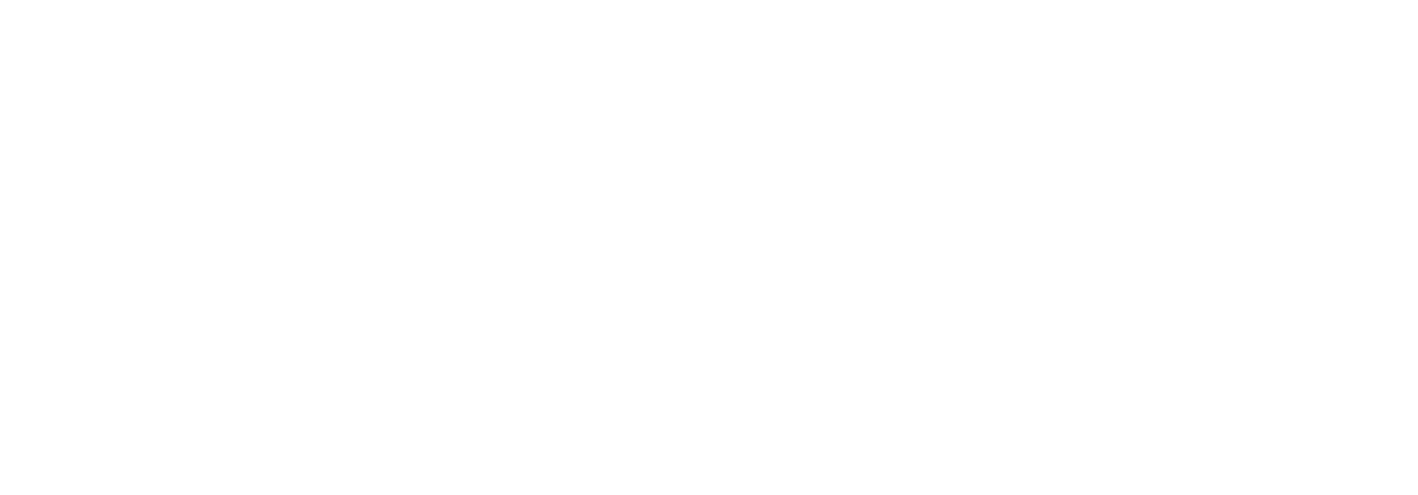 SpitalMannedorf Logo